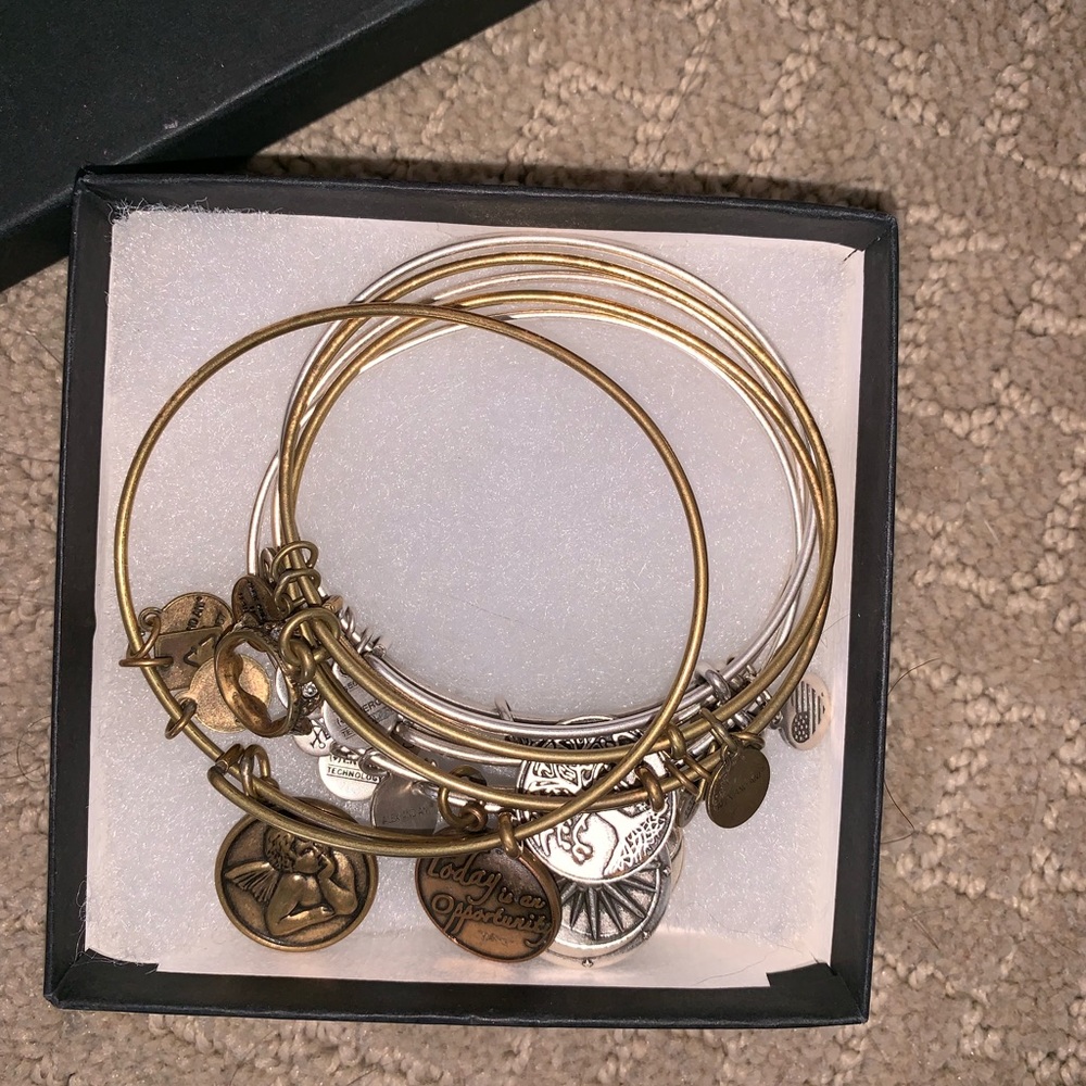 ALEX AND ANI bundle
